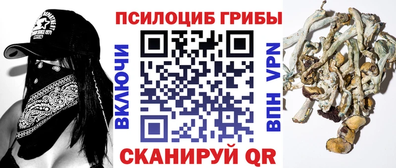 Псилоцибиновые грибы MAGIC MUSHROOMS  купить   Пикалёво 